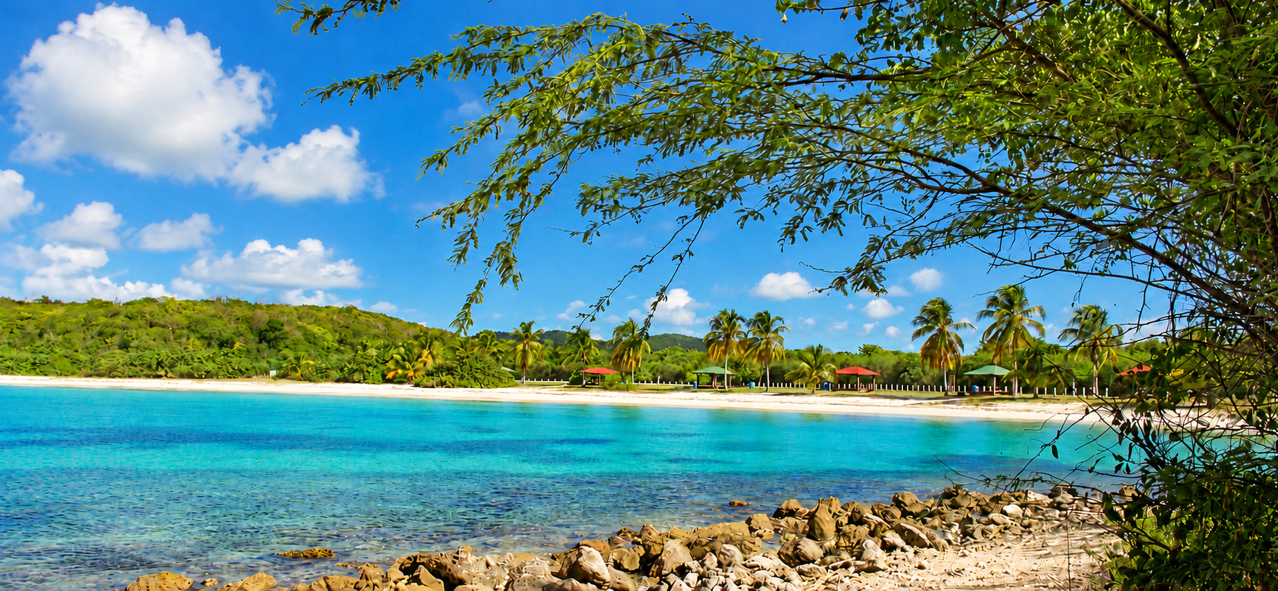 Beach and coastal scenery in Vieques