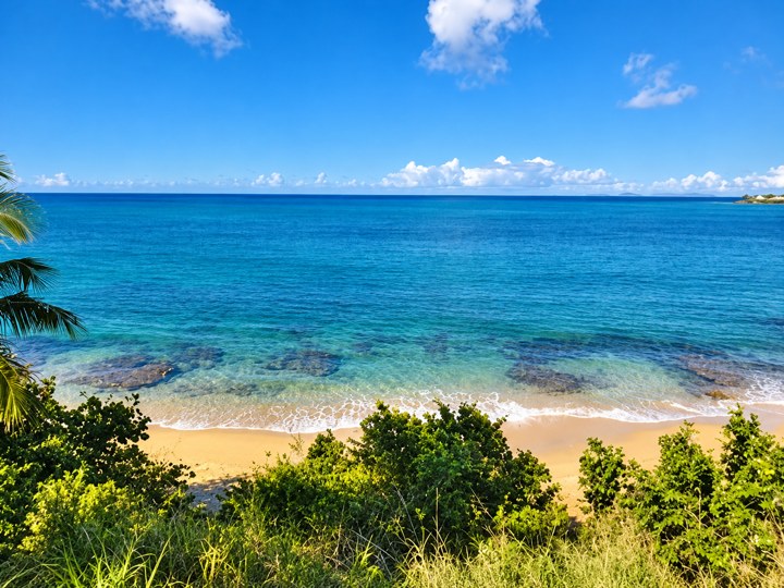 Beach and ocean view