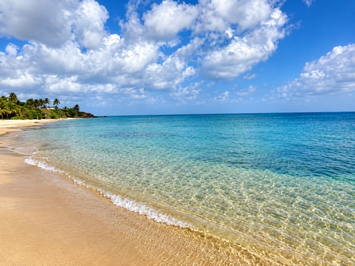 Clear water shoreline