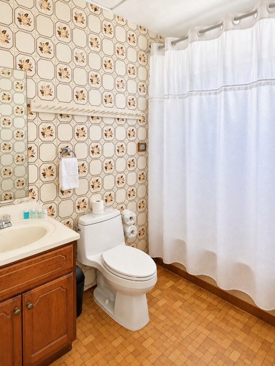 Master bathroom with tub